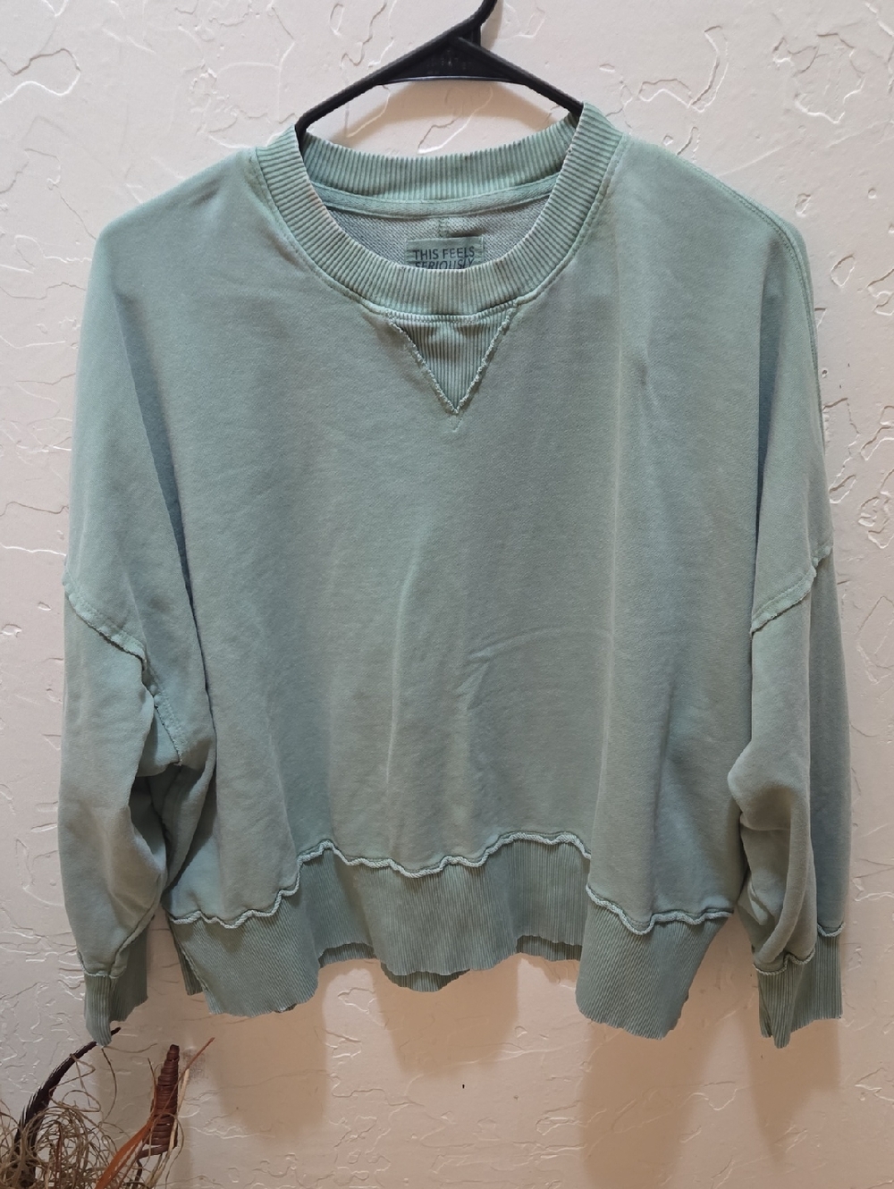 American Eagle Outfitters Mint Green Oversized Crewneck Sweatshirt